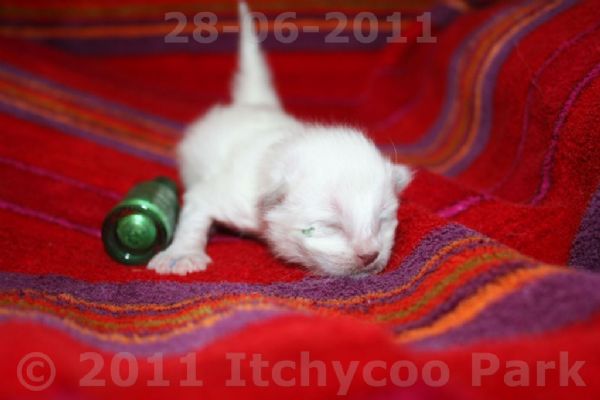 klik voor een vergroting