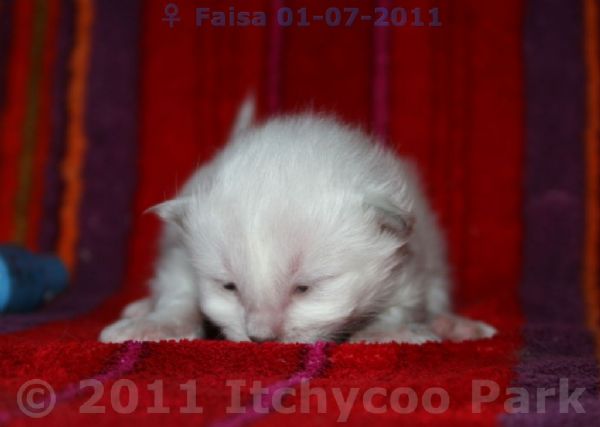 klik voor een vergroting