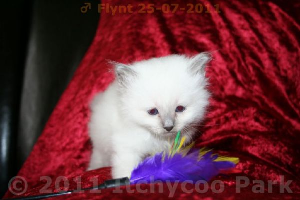 klik voor een vergroting