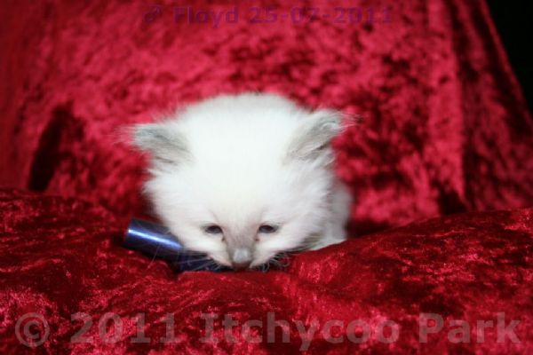 klik voor een vergroting