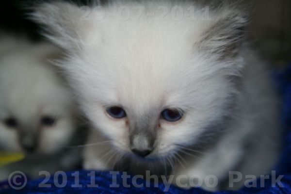 klik voor een vergroting