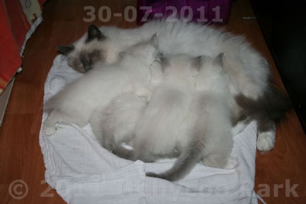 klik voor een vergroting