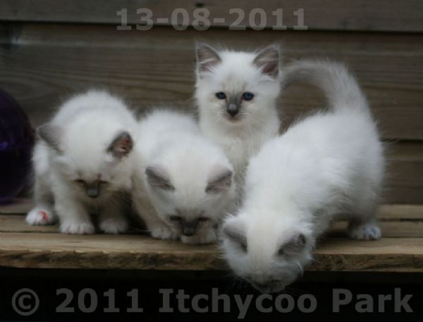 klik voor een vergroting