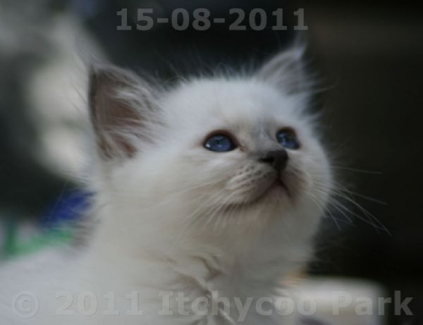 klik voor een vergroting