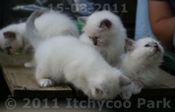 klik voor een vergroting