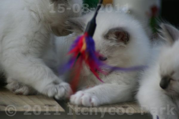 klik voor een vergroting