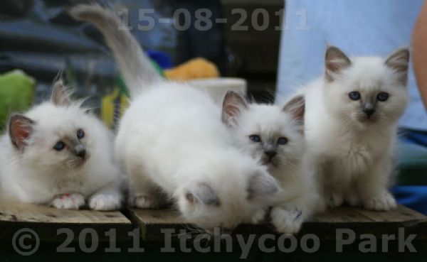 klik voor een vergroting