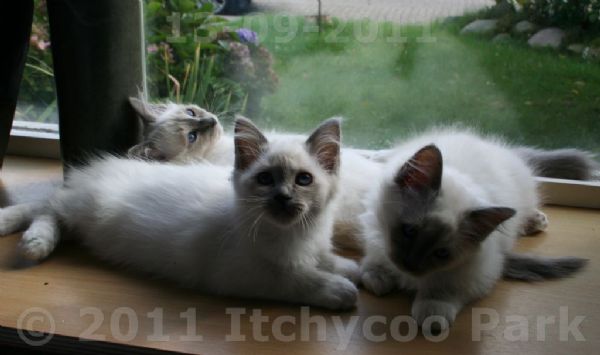 klik voor een vergroting