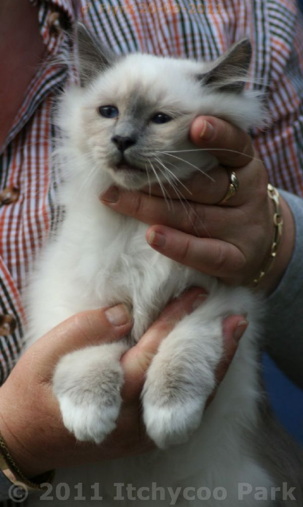 klik voor een vergroting