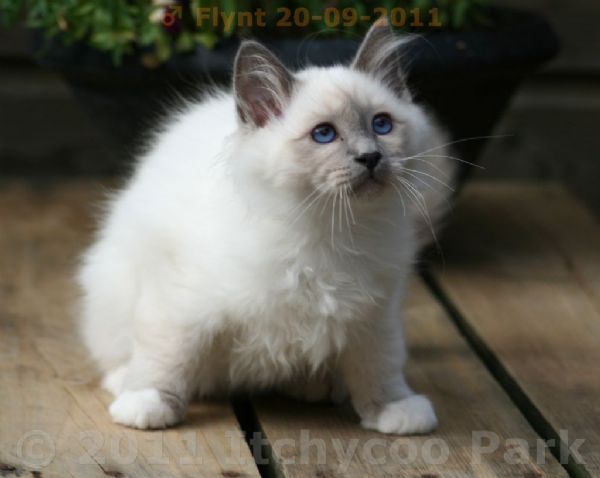 klik voor een vergroting