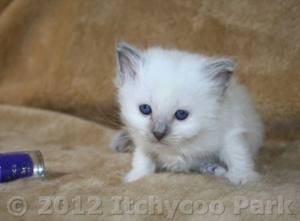 klik voor een vergroting