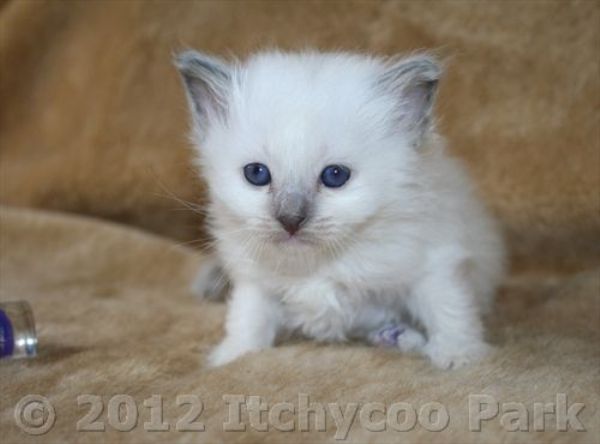 klik voor een vergroting