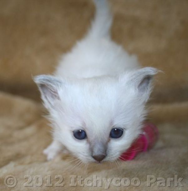 klik voor een vergroting