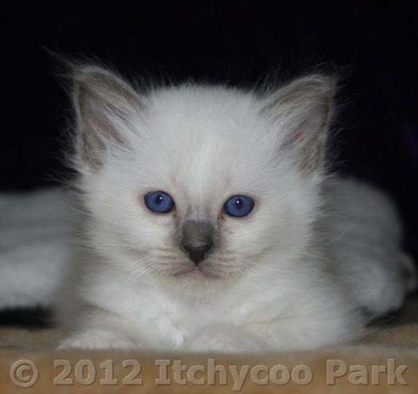 klik voor een vergroting