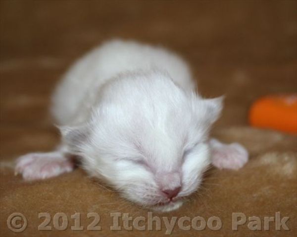 klik voor een vergroting