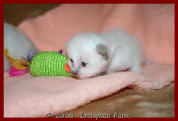 klik voor een vergroting