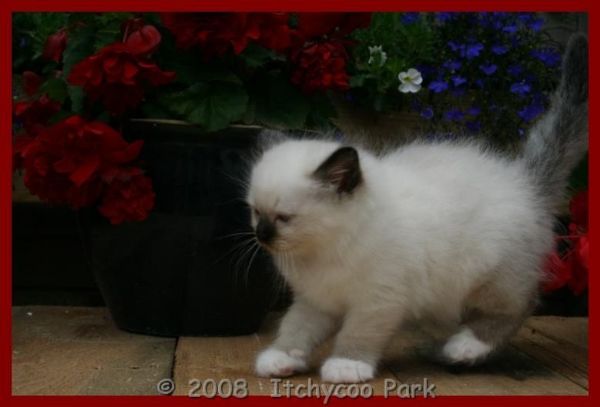 klik voor een vergroting