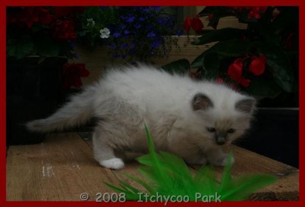 klik voor een vergroting