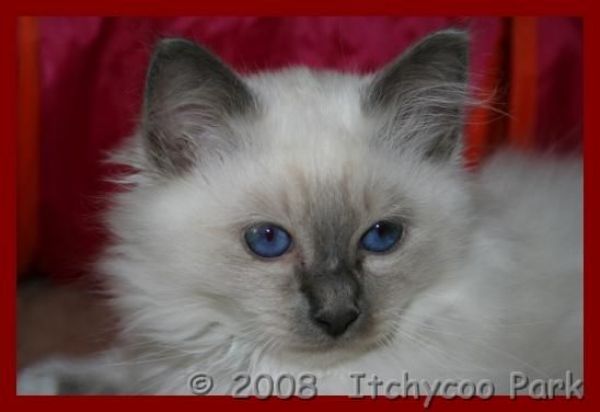 klik voor een vergroting