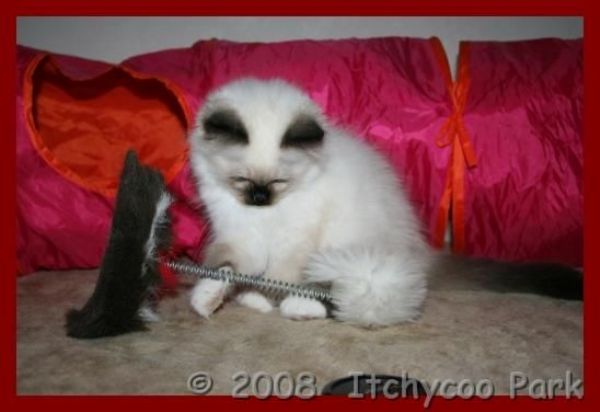 klik voor een vergroting