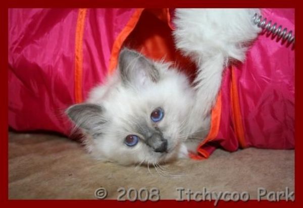 klik voor een vergroting