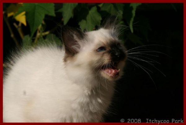 klik voor een vergroting