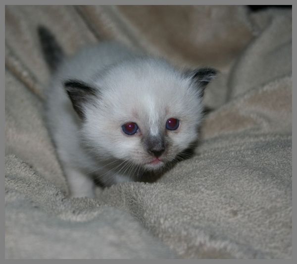 klik voor een vergroting