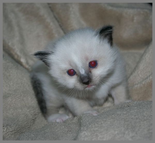 klik voor een vergroting