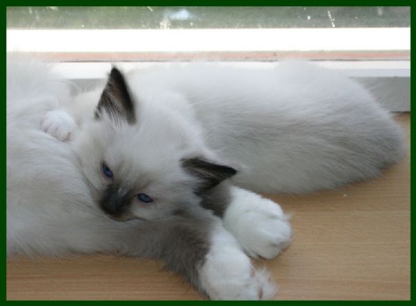 klik voor een vergroting