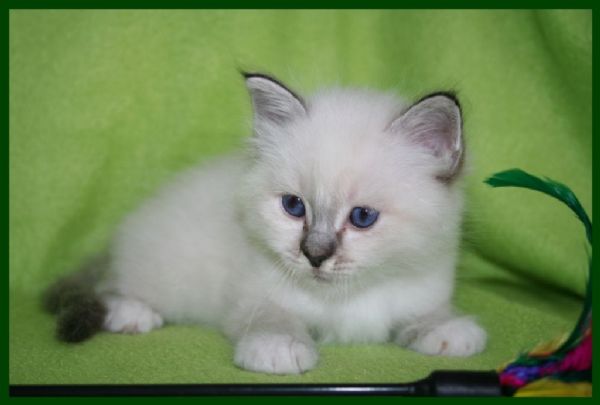 klik voor een vergroting