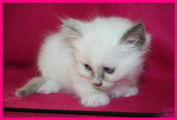 klik voor een vergroting