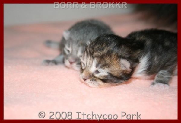 klik voor een vergroting