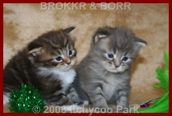 klik voor een vergroting