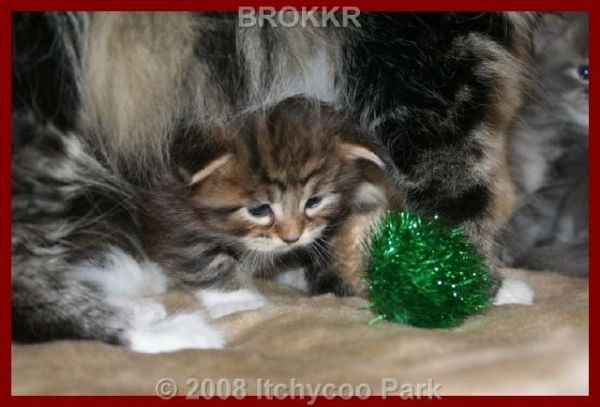 klik voor een vergroting