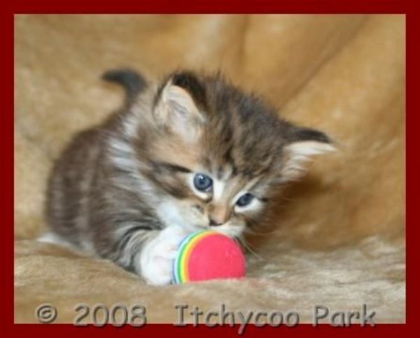 klik voor een vergroting