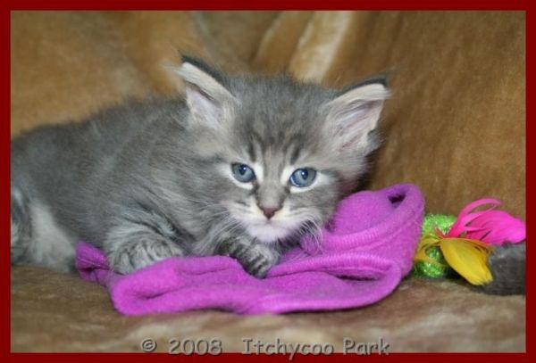 klik voor een vergroting