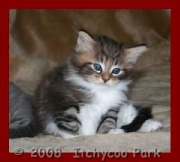 klik voor een vergroting