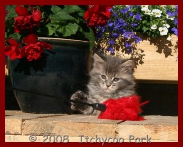 klik voor een vergroting