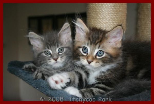 klik voor een vergroting