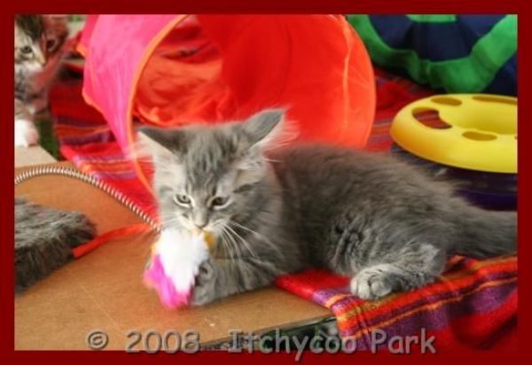 klik voor een vergroting