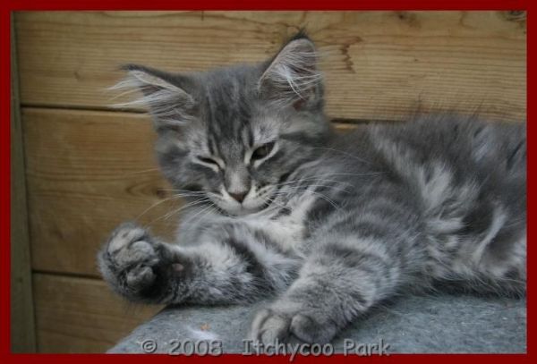 klik voor een vergroting